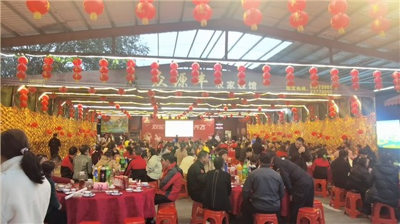 星亿年会